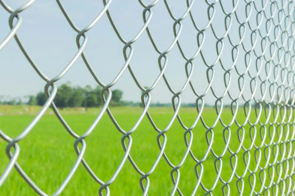 GI Fencing Mesh